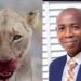 Lion kills its caregiver of nine years at the Obafemi  Awolowo University, Ile-Ife, Osun State, Southwest Nigeria.