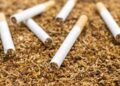 The World Health Organisation Framework Convention on Tobacco Control has restated its commitments to combat illicit tobacco trading globally.