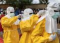 At least 17 people died of anthrax in a southern Ugandan district, a local official told AFP on Thursday.