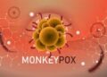 Mozambique has confirmed its first case of Monkey pox.