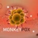 Mozambique has confirmed its first case of Monkey pox.