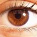 PEOPLE WITH DARK-BROWN EYES PRONE TO CATARACTS – OPTOMETRISTS