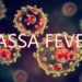 TARABA STATE CONFIRMS OUTBREAK OF LASSA FEVER