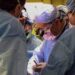 SURGEONS SUCCESSFULLY TRANSPLANT GENETICALLY MODIFIED PIG KIDNEY INTO PATIENT