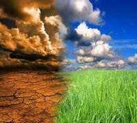 AGRONOMIST RAISES CONCERN OVER CLIMATE CHANGE IMPACT ON FOOD SECURITY