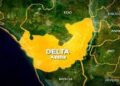 DELTA CONFIRMS FOUR CASES OF LASSA FEVER, CALLS FOR CAUTION