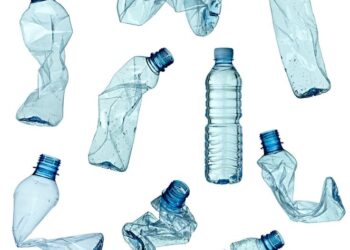 SOUTH AFRICA: ACTIVISTS CLEAN UP CAPE TOWN BEACH IN CELEBRATION OF EARTH DAY