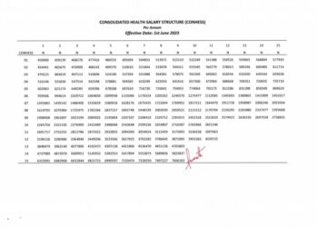 NURSES DEMAND IMPLEMENTATION OF 25% CONHESS SALARY UPWARD REVIEW