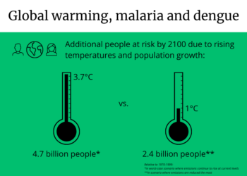 WHO RAISES CONCERN OVER CLIMATE CHANGE IMPACT ON MALARIA, NEGLECTED TROPICAL DISEASES