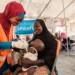 UNICEF ENGAGES 6,525 CAREGIVERS TO PROMOTE NUTRITION BENEFITS IN ADAMAWA STATE