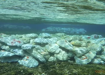 UNESCO SAYS WORLD IS NOT DOING ENOUGH TO PROTECT OCEANS