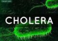 WHAT YOU SHOULD KNOW ABOUT CHOLERA