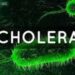 WHAT YOU SHOULD KNOW ABOUT CHOLERA