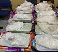 SNAKE-GUARDED DRUG SHRINE RAIDED BY NDLEA IN EDO