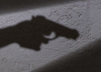 MY WIFE WAS ON HER KNEES BEGGING HIM NOT TO SHOOT, HE SUDDENLY PULLED THE TRIGGER – BEREAVED HUSBAND