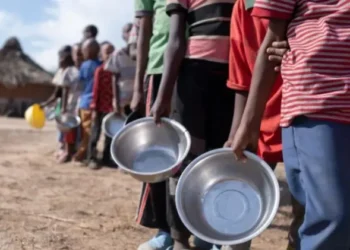 NIGERIA, 17 OTHERS MAY FACE ACUTE FOOD INSECURITY, UN REPORT WARNS