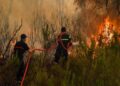 MOROCCO RAISES AWARENESS OF FOREST FIRE RISK AS SUMMER APPROACHES