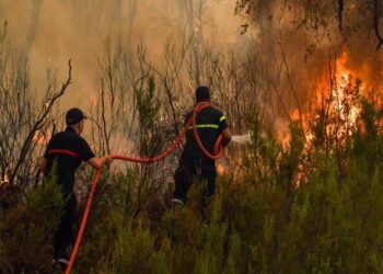 MOROCCO RAISES AWARENESS OF FOREST FIRE RISK AS SUMMER APPROACHES