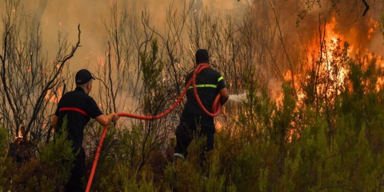MOROCCO RAISES AWARENESS OF FOREST FIRE RISK AS SUMMER APPROACHES