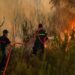 MOROCCO RAISES AWARENESS OF FOREST FIRE RISK AS SUMMER APPROACHES