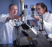 WHY WE’RE SEEING MORE PROSTATE DISORDER CASES LATELY – LAB SCIENTISTS