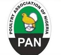 30% POULTRY FARMS IN NIGERIA SHUT DOWN IN SIX MONTHS OVER HIGH PRODUCTION COST – PAN.