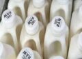 DOZENS WERE SICKENED WITH SALMONELLA AFTER DRINKING RAW MILK FROM A CALIFORNIA FARM