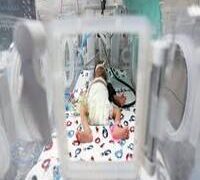 CHILDREN IN INCUBATORS IN DANGER AS BLACKOUT, FUEL SHORTAGE HIT GAZA HOSPITALS