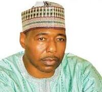 ZULUM APPROVES N200M FOR FOREIGN MEDICAL TRAINING OF 150 DOCTORS