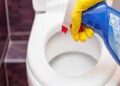 DISINFECTING TOILET SEATS BEFORE USE REDUCES INFECTION SPREAD – EXPERTS