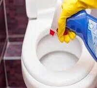 DISINFECTING TOILET SEATS BEFORE USE REDUCES INFECTION SPREAD – EXPERTS