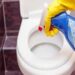 DISINFECTING TOILET SEATS BEFORE USE REDUCES INFECTION SPREAD – EXPERTS
