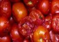 DON’T USE ROTTEN TOMATOES TO PREPARE FOOD, EXPERTS WARN