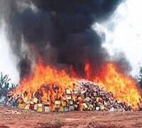 NAFDAC DESTROYS N10BN WORTH OF FAKE PRODUCTS IN GOMBE STATE.