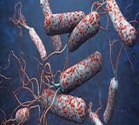 EBONYI STATE (S/E, NIGERIA) RECORDS 28 CHOLERA DEATHS, 386 CASES,