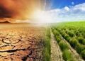 SOCIETY URGES FG TO ADDRESS CLIMATE CHANGE CHALLENGES