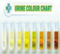 WHAT YOUR URINE COLOUR SAYS ABOUT YOUR KIDNEYS.