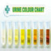 WHAT YOUR URINE COLOUR SAYS ABOUT YOUR KIDNEYS.