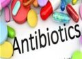 BAUCHI DON LAMENTS HIGH ANTIMICROBIAL RESISTANCE MORTALITY RATE.