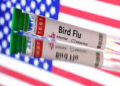 UNITED STATES CONFIRMS FIRST SEVERE HUMAN CASE OF BIRD FLU.