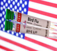 UNITED STATES CONFIRMS FIRST SEVERE HUMAN CASE OF BIRD FLU.