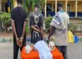 Police arrest three with human skull in Imo State.
