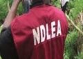 NDLEA NABS EX-CONVICT WITH DRUGS HIDDEN IN SPEAKER