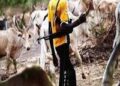SUSPECTED HERDERS KILL THREE IN BENUE STATE.