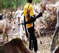 SUSPECTED HERDERS KILL THREE IN BENUE STATE.