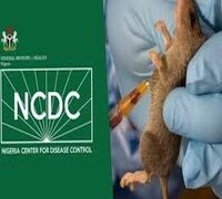 LASSA FEVER KILLS 176, CASES HIT 955.