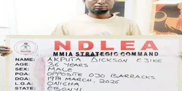 NDLEA UNCOVERS COCAINE HIDDEN INSIDE FISH IN LAGOS