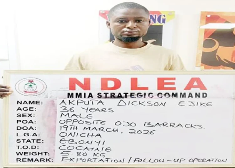 NDLEA UNCOVERS COCAINE HIDDEN INSIDE FISH IN LAGOS