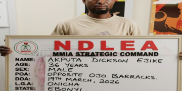 NDLEA UNCOVERS COCAINE HIDDEN INSIDE FISH IN LAGOS