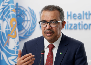Hantavirus outbreak not like start of Covid pandemic – WHO